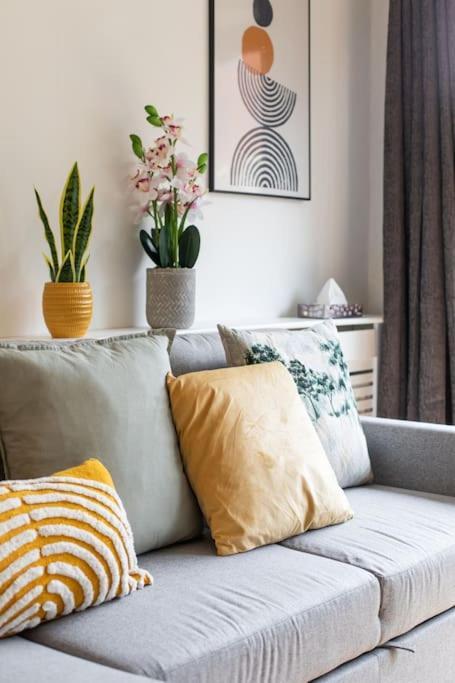 Best City Centre Luxurious Home Free Parking Belfast Dış mekan fotoğraf